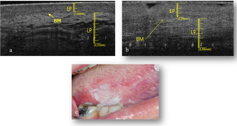 Fig. 5