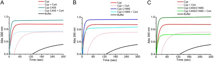 Figure 3.