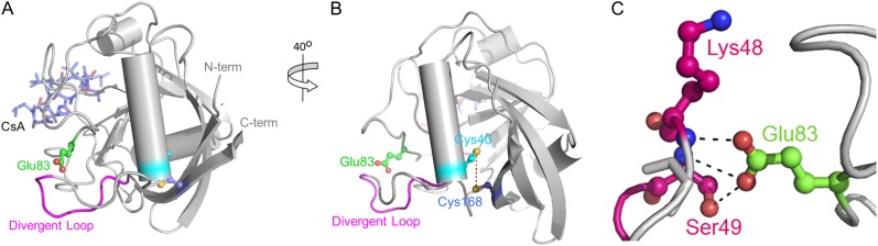 Figure 2.