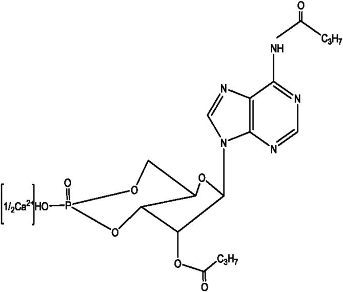 Fig. 1