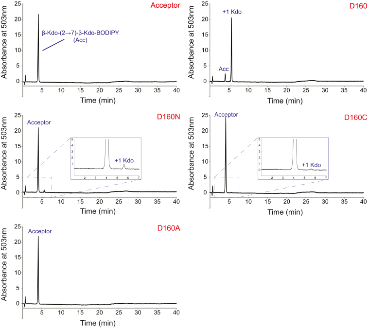 Figure 3