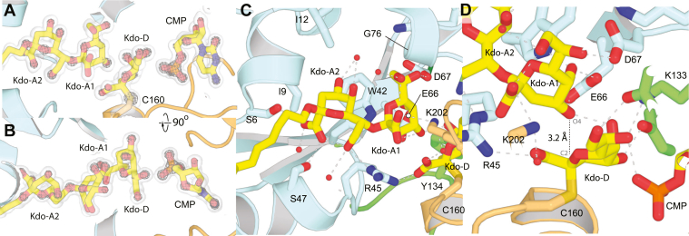 Figure 5