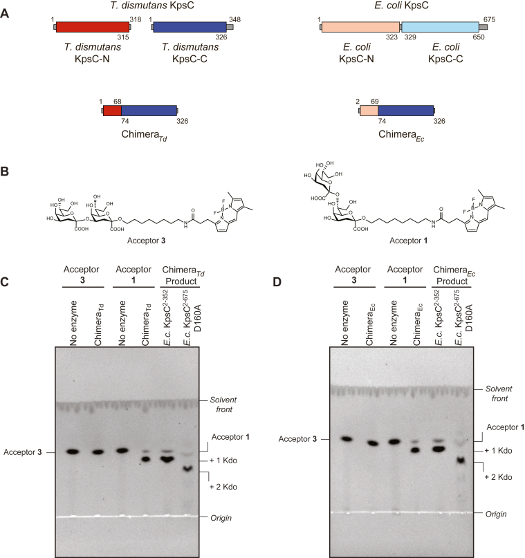 Figure 6