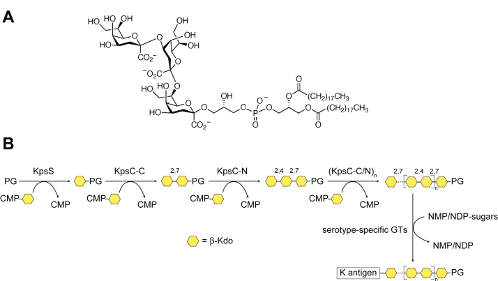 Figure 1