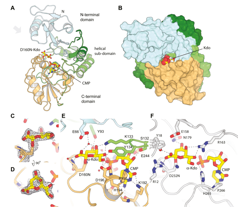 Figure 4