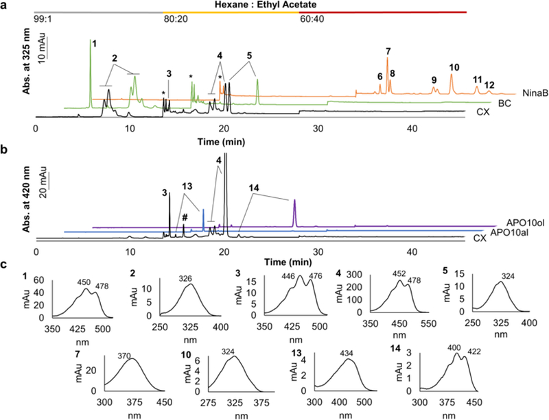 Figure 2.