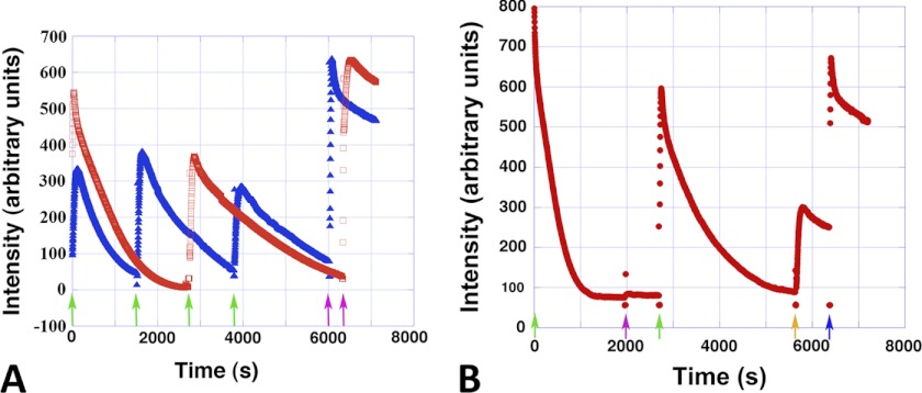 FIGURE 4.