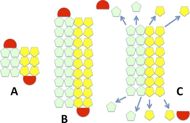 FIGURE 10.