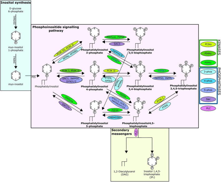 FIGURE 1