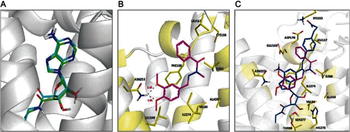 Figure 7