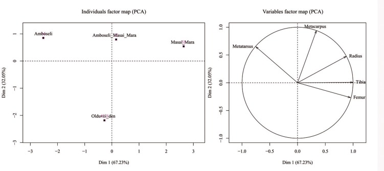 Fig 5