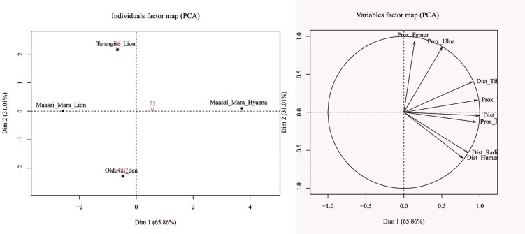 Fig 7