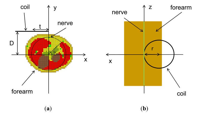 Fig. (1)