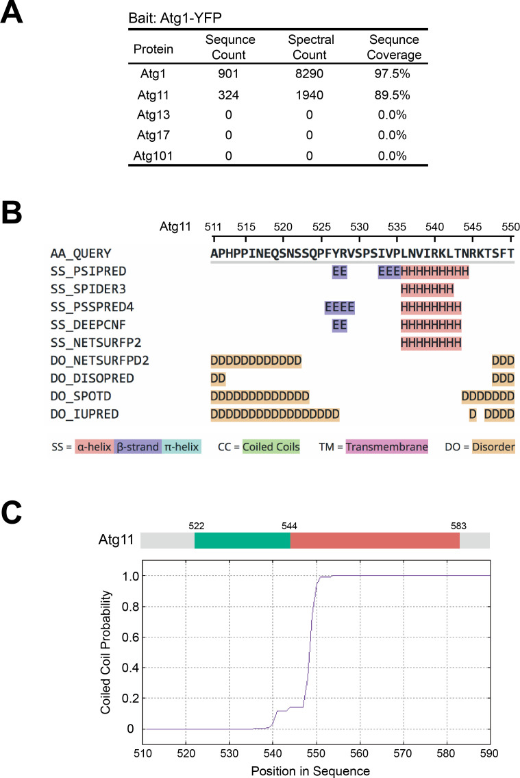 Figure 2—figure supplement 1.