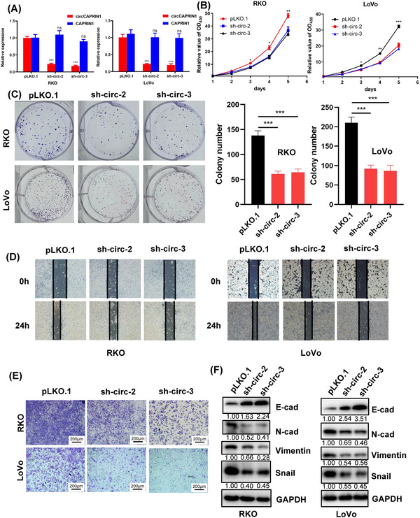 FIGURE 3