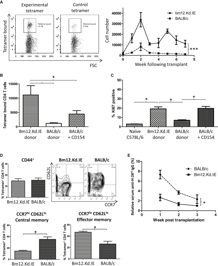 Figure 6