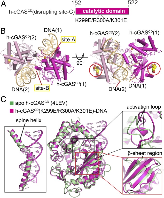 Fig. 8.