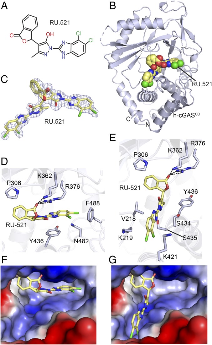 Fig. 9.