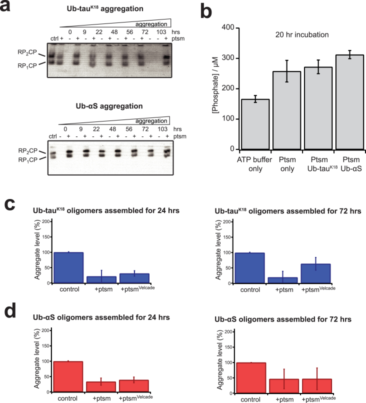 Fig. 4