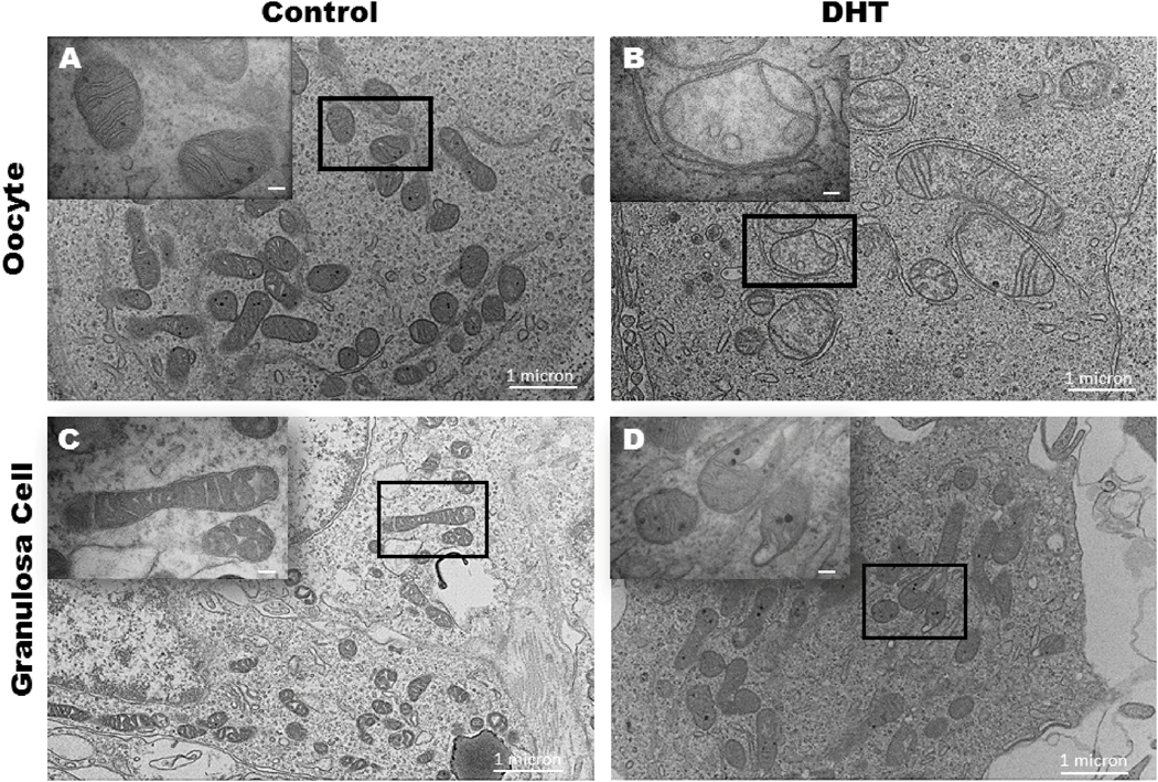 Figure 4: