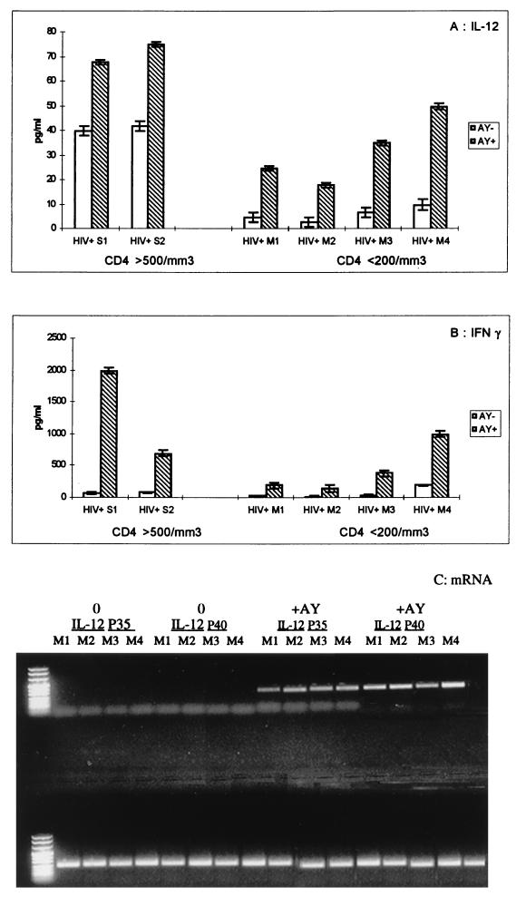 FIG. 6