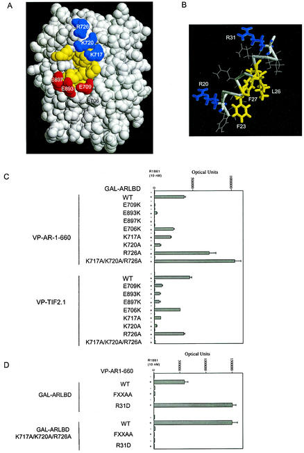 FIG.2.