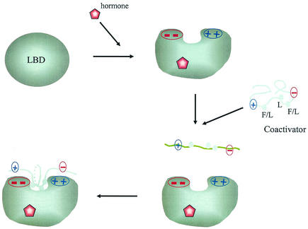 FIG. 8.