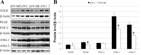 Fig. 5.