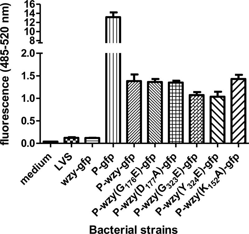 FIGURE 6.