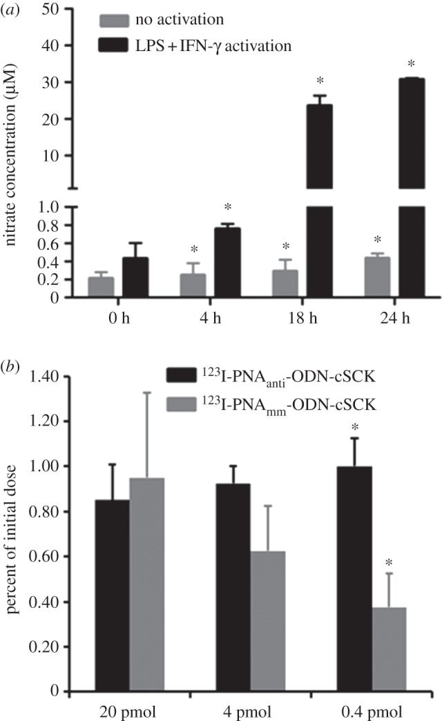 Figure 5.