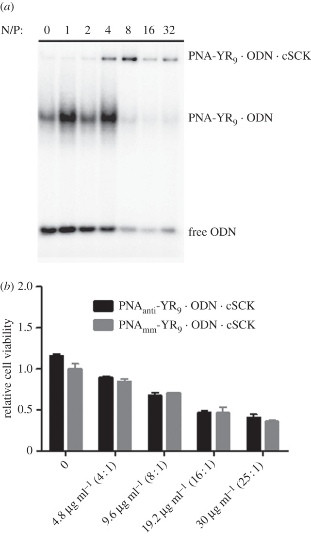 Figure 3.