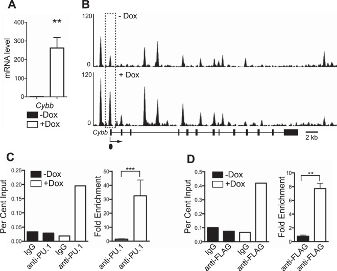 FIG 3