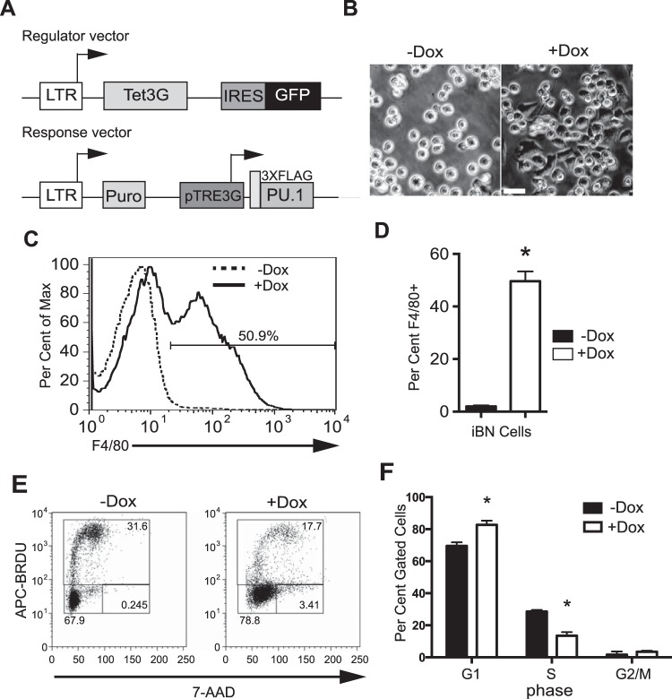 FIG 1