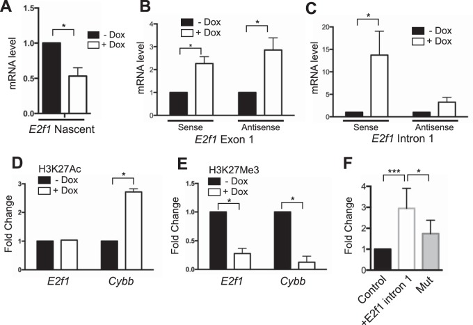 FIG 6