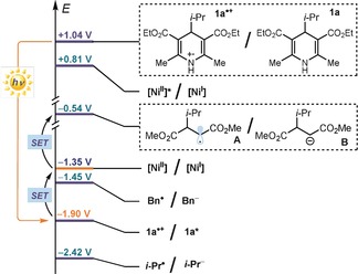 Scheme 2