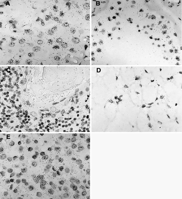 FIG. 5.