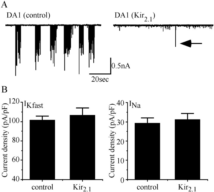 Fig. 7.