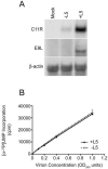 FIG.7.