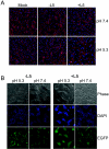 FIG. 9.