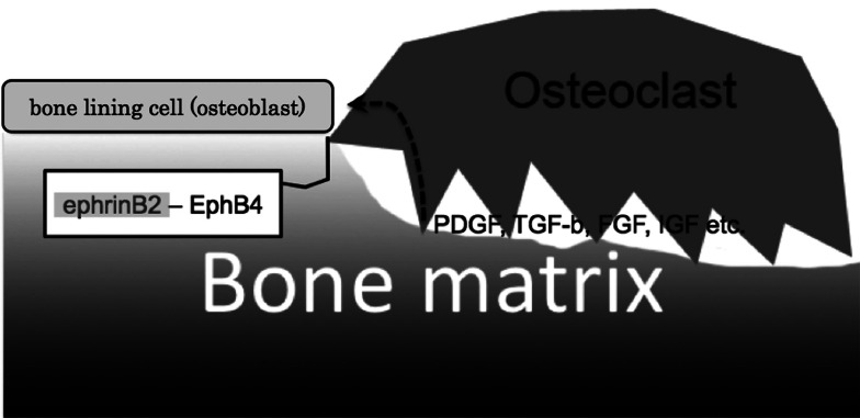 Fig. 6