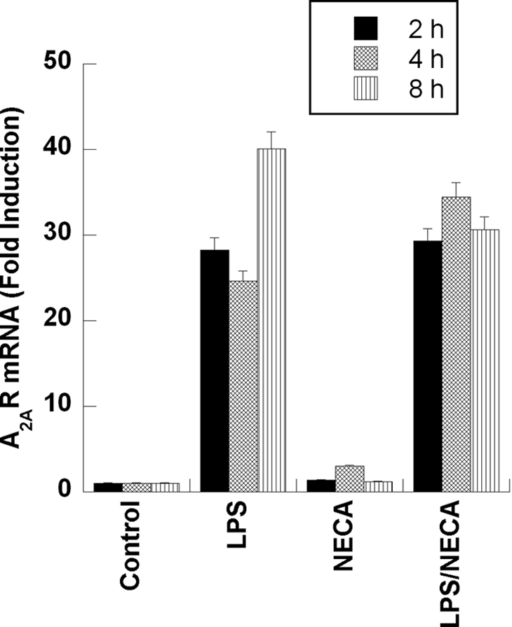 Figure 5.