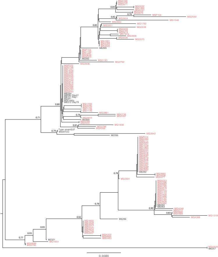 Figure 2