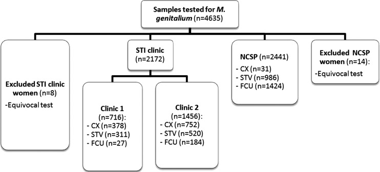 Figure 1