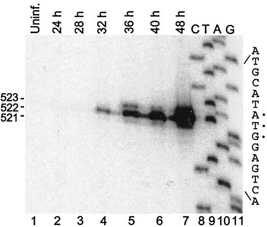 FIG. 2.