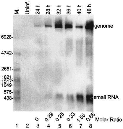 FIG. 1.