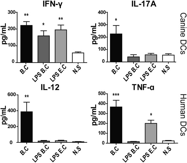 Figure 6