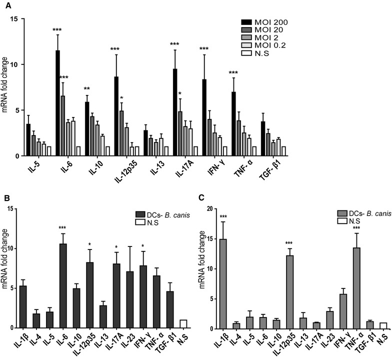 Figure 4