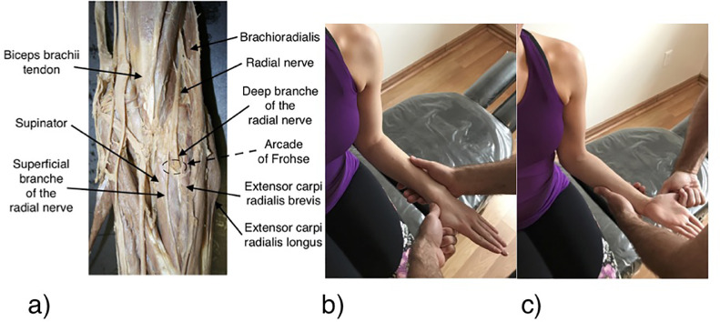 Fig 5