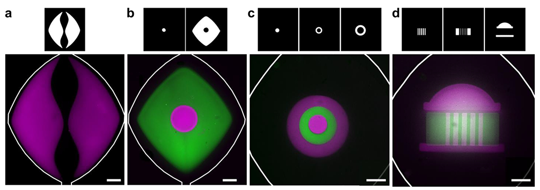 Fig. 4