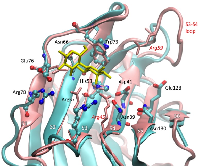 Figure 2